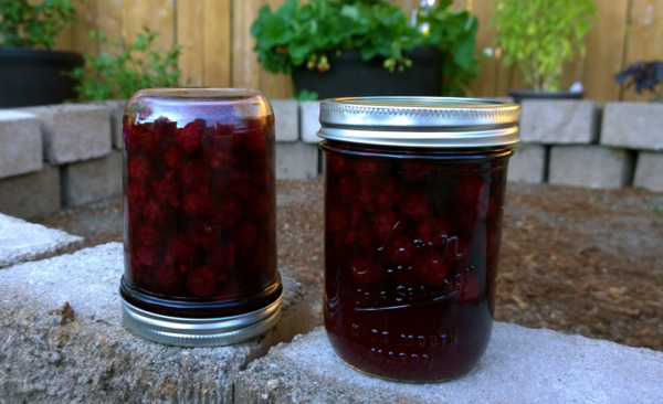 Canned Blackberries