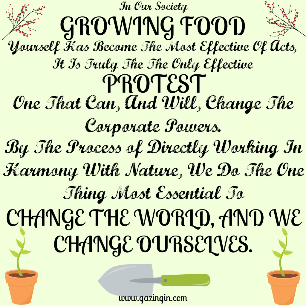 The Wandering of Life